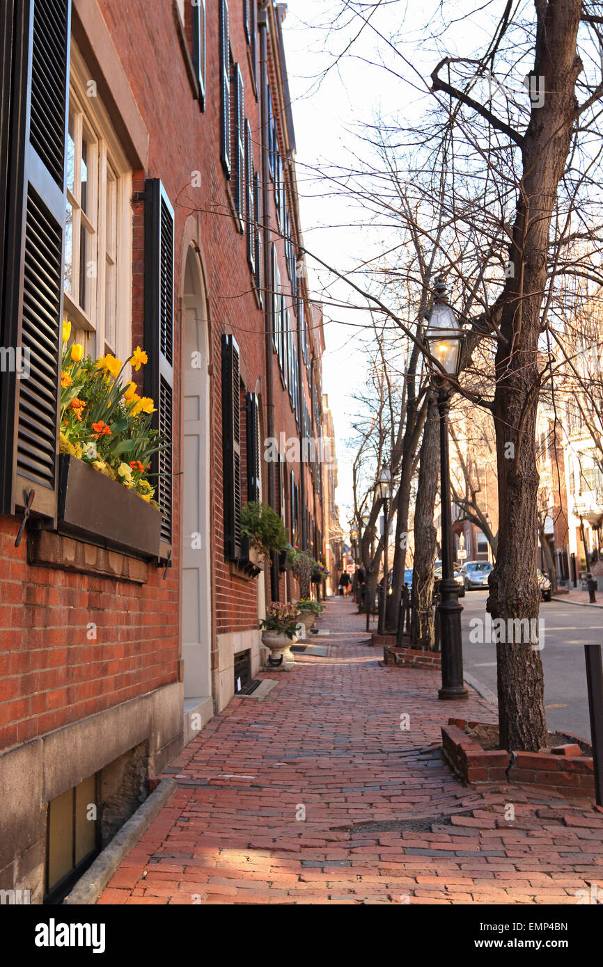 Boston Massachusetts Beacon Hill trottoir en brique avec fenêtre et porte des fleurs. Banque D'Images