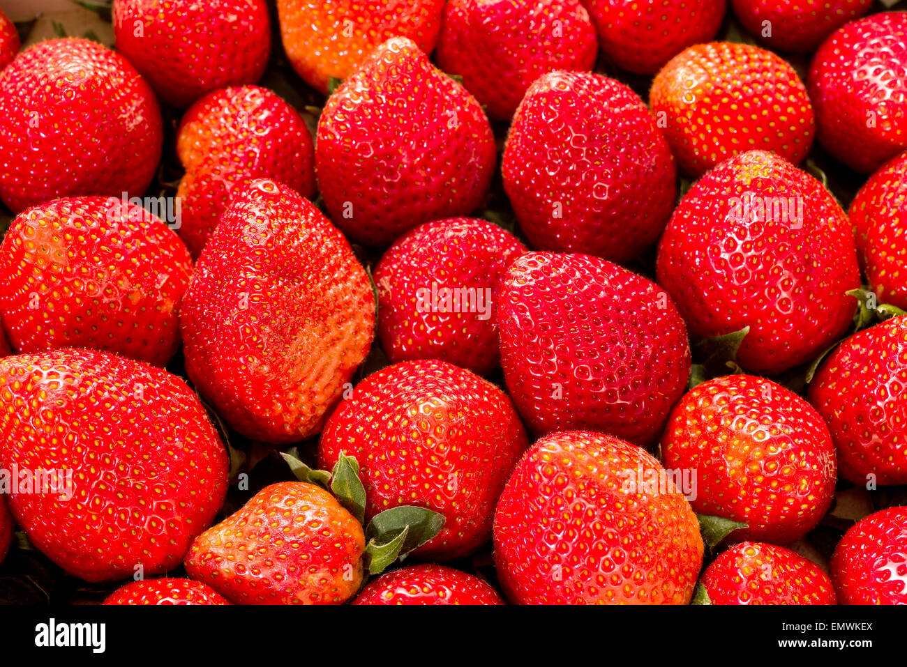 Fraise, fraises fraîches dans la boîte en bois dans une alimentation saine nature écologique précieux fruits biodynamique rouge beau et grand Banque D'Images