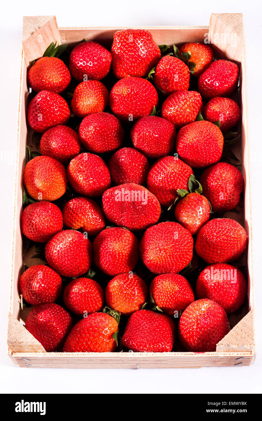 Fraise, fraises fraîches dans la boîte en bois dans une alimentation saine nature écologique précieux fruits biodynamique rouge beau et grand Banque D'Images