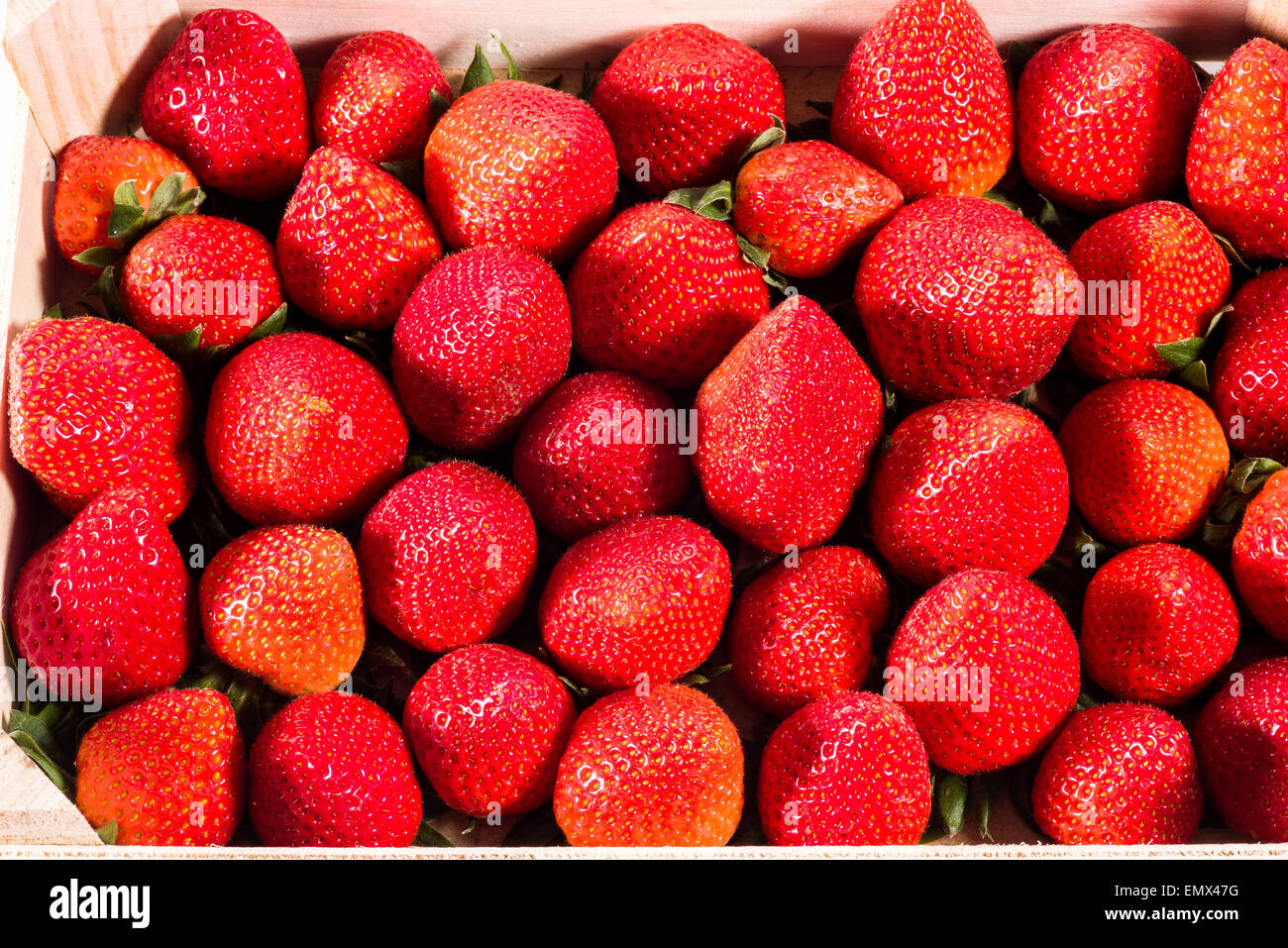 Fraise, fraises fraîches dans la boîte en bois dans une alimentation saine nature écologique précieux fruits biodynamique rouge beau et grand Banque D'Images
