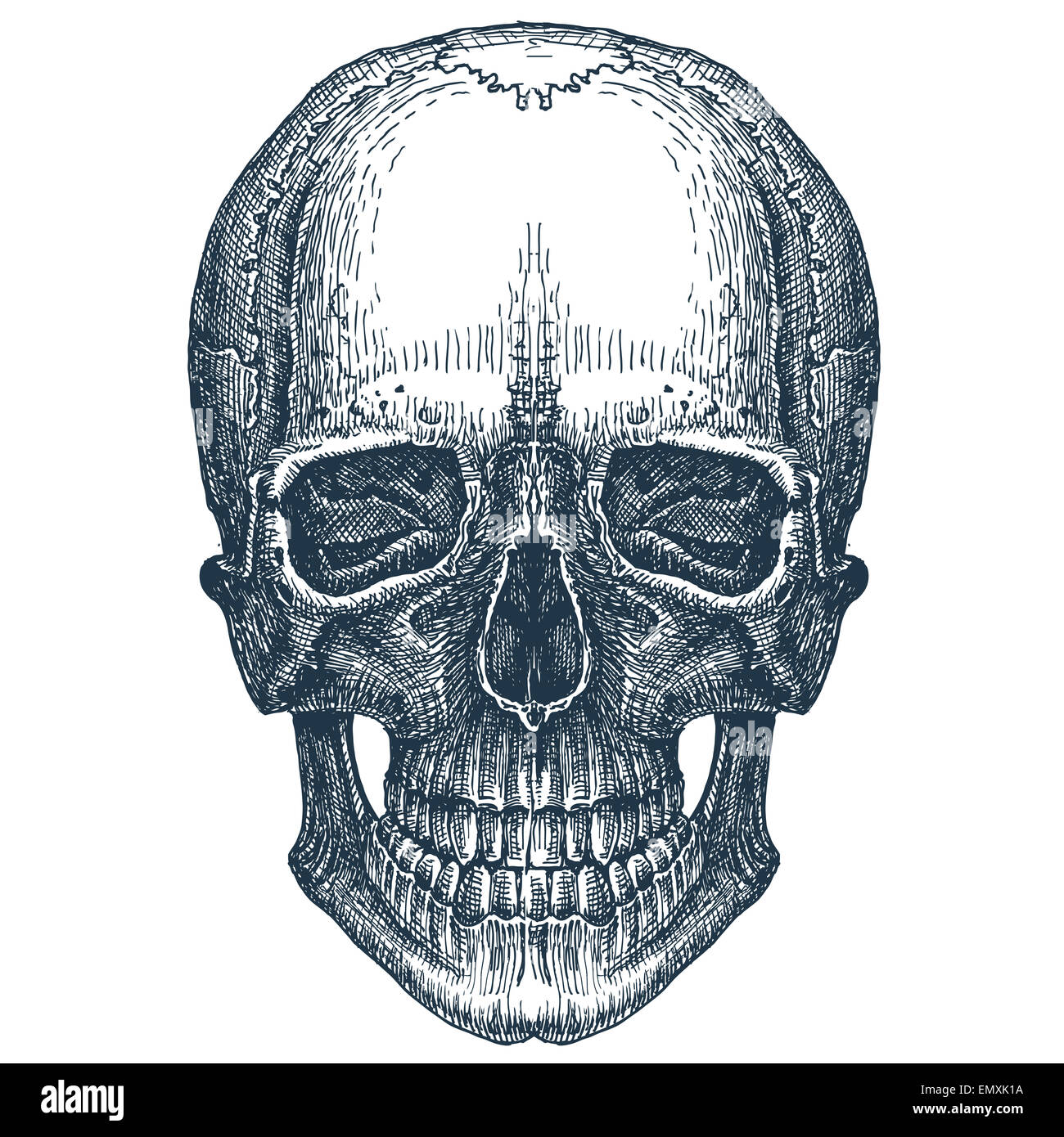 Skull logo vector modèle. la mort douce, la maladie ou l'icône de Jolly Roger. Banque D'Images