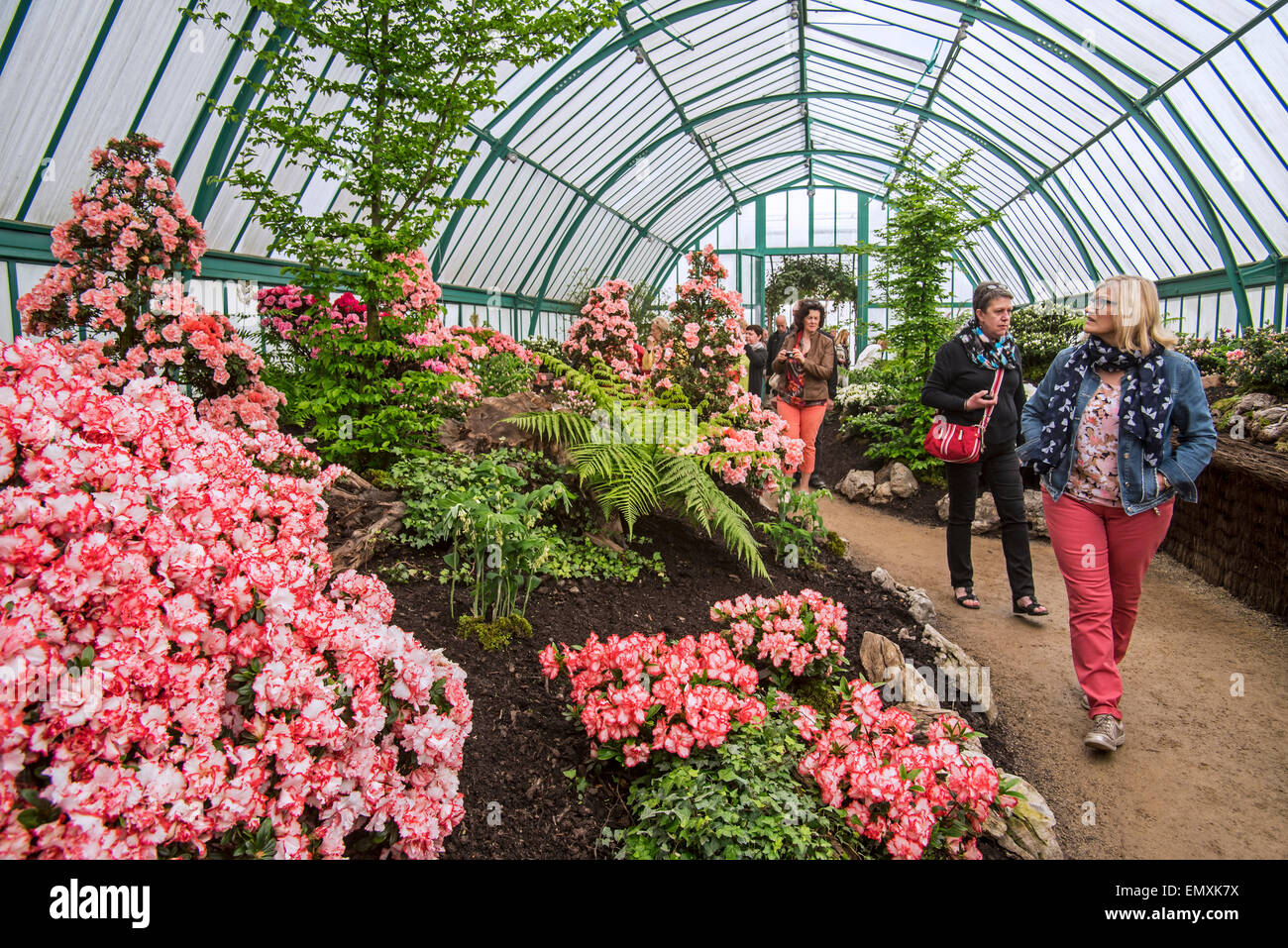 Les touristes qui visitent les Serres Royales de Laeken en style Art Nouveau dans le parc du Palais Royal près de Bruxelles, Belgique Banque D'Images
