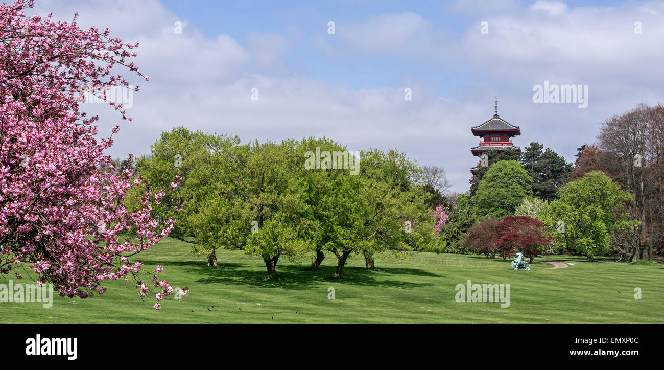 Magnolias fleurissent dans le parc du Palais Royal de Laeken et vue sur la Tour Japonaise, Bruxelles, Belgique Banque D'Images