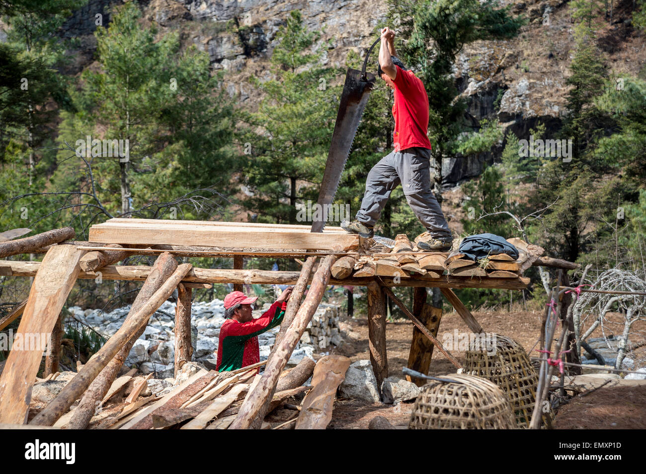 Deux hommes népalais à l'aide d'une scie énorme pour construire une maison dans la région de l'himalaya Banque D'Images