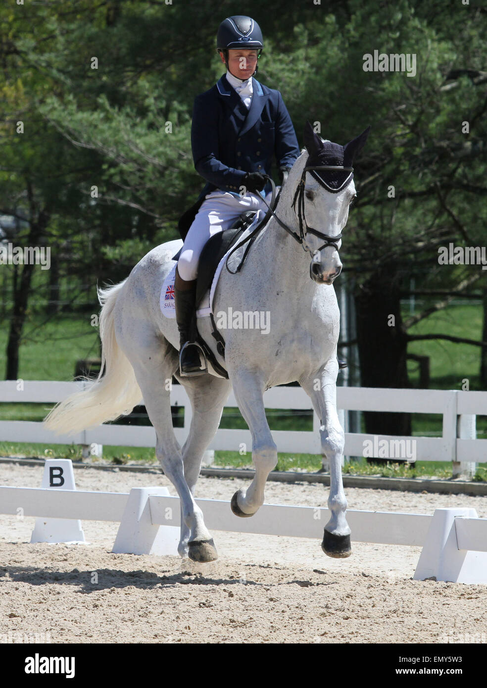 Lexington, Kentucky, USA. Apr 24, 2015. 23 avril 2015 : # 32 Cible facile et Francis Whittington l'échauffement avant la compétition sur le premier jour de dressage à la Rolex événement de trois jours au Kentucky Horse Park de Lexington, KY. Candice Chavez/ESW/CSM/Alamy Live News Banque D'Images