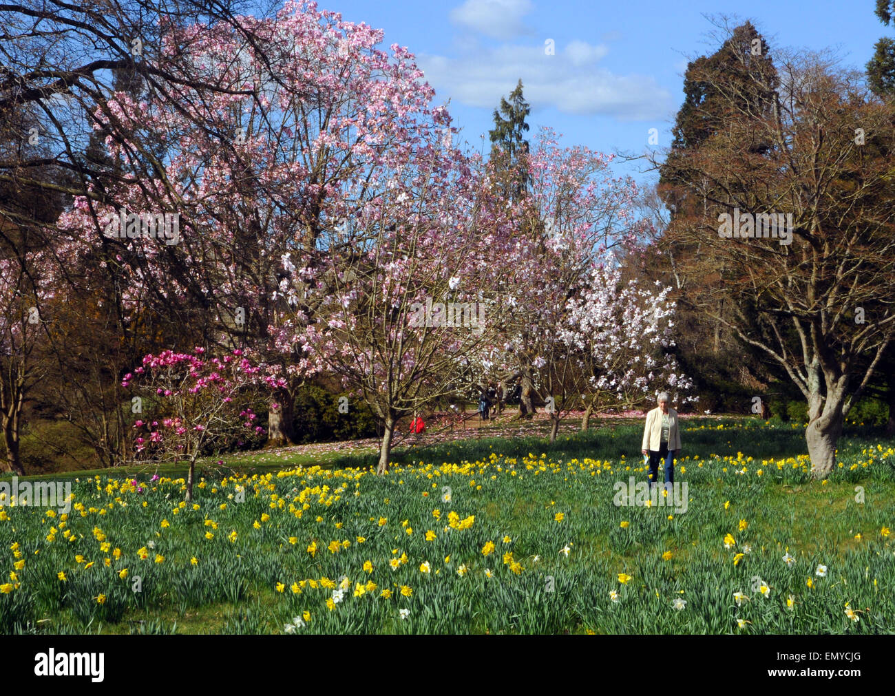 Wakehurst Place, Ardingley, East Sussex Banque D'Images