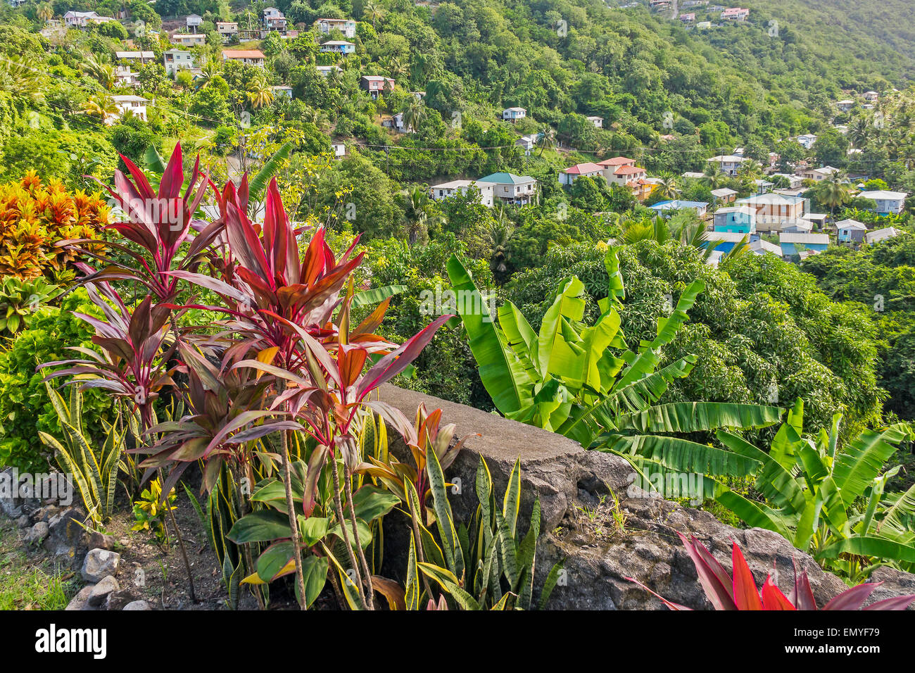 Point de vue colorés Antilles Sainte-lucie Banque D'Images