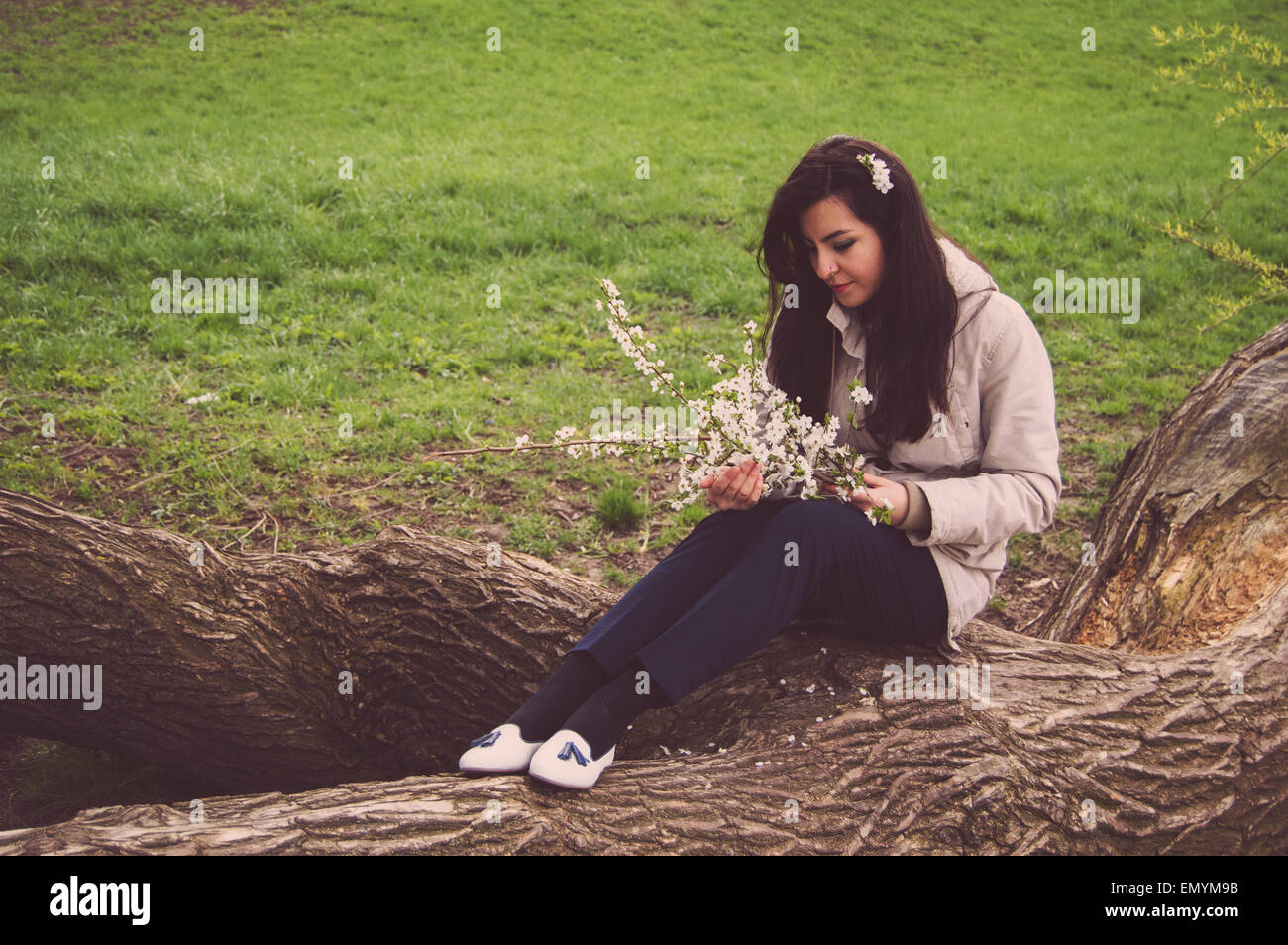 Belle jeune fille turque holding spring cherry flowers et assis sur un arbre Banque D'Images