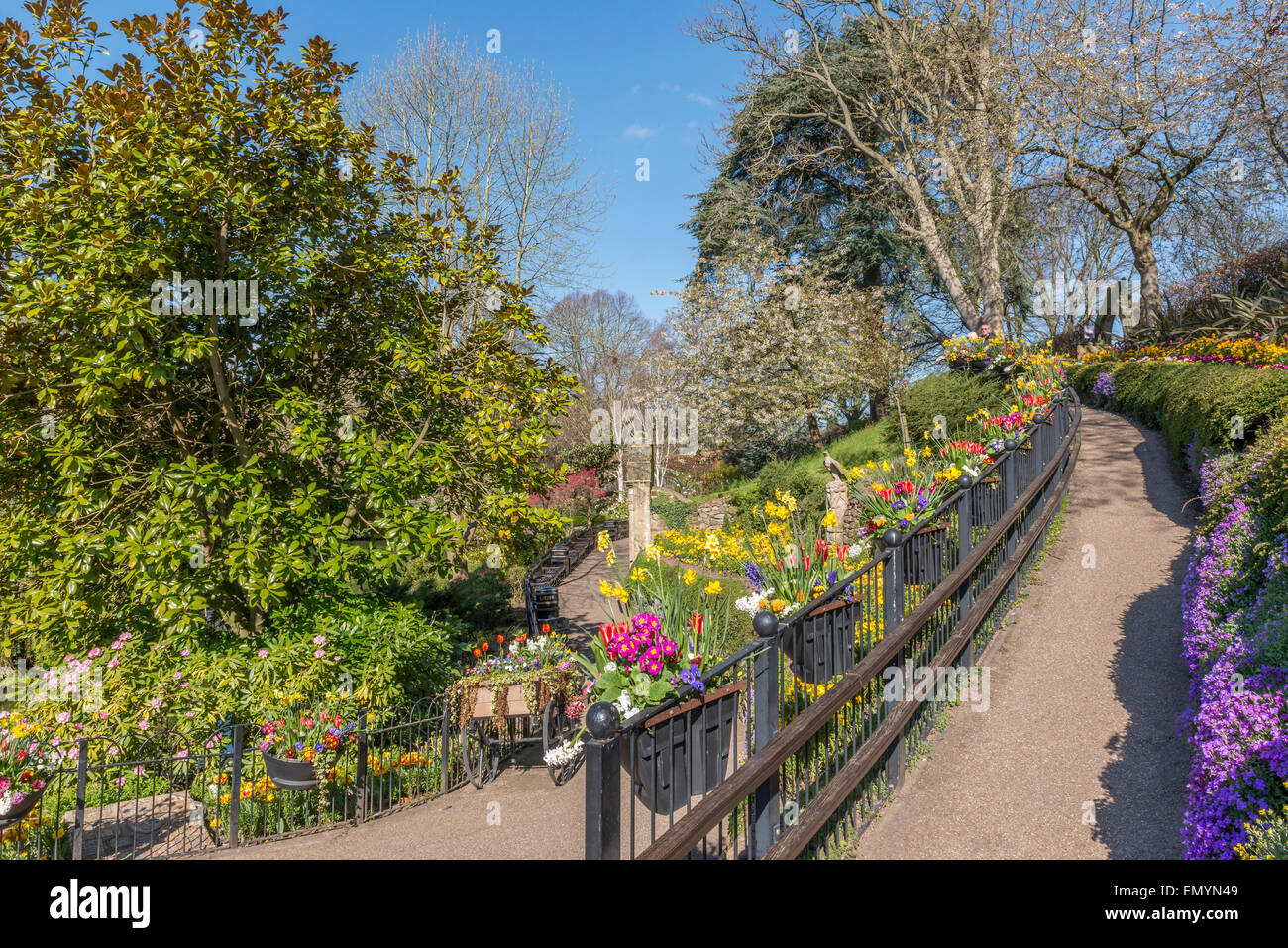 La Dingle at Quarry Park au printemps. Shrewsbury. Le Shropshire. UK Banque D'Images
