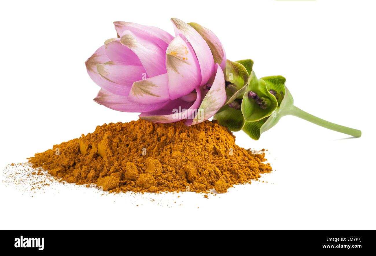 Poudre de curcuma et de fleurs isolated on white Banque D'Images