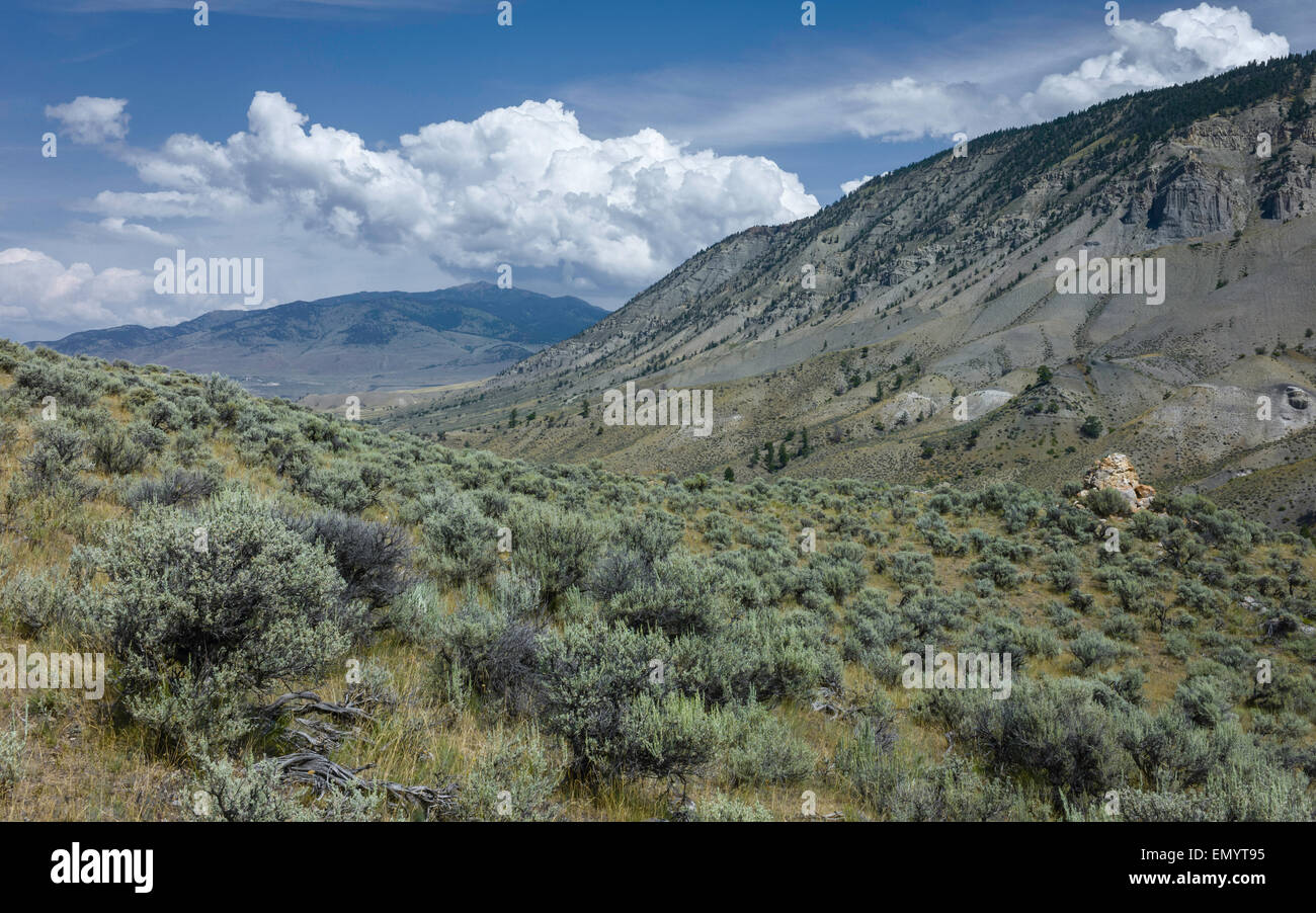 Le paysage aride du Parc National de Yellowstone avec l'armoise, montagnes, herbes, par une belle journée ensoleillée en été. Banque D'Images