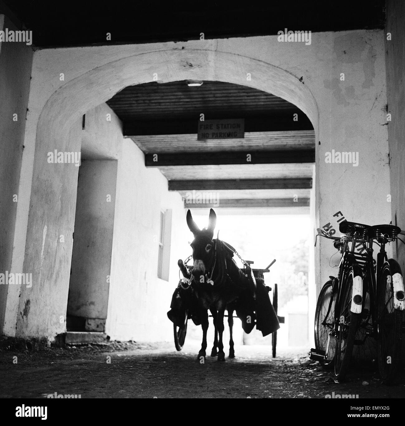 L'âne et le panier en attente à l'extérieur de la caserne de Greeneville dans le comté de Donegal 7 Septembre 1963 Banque D'Images