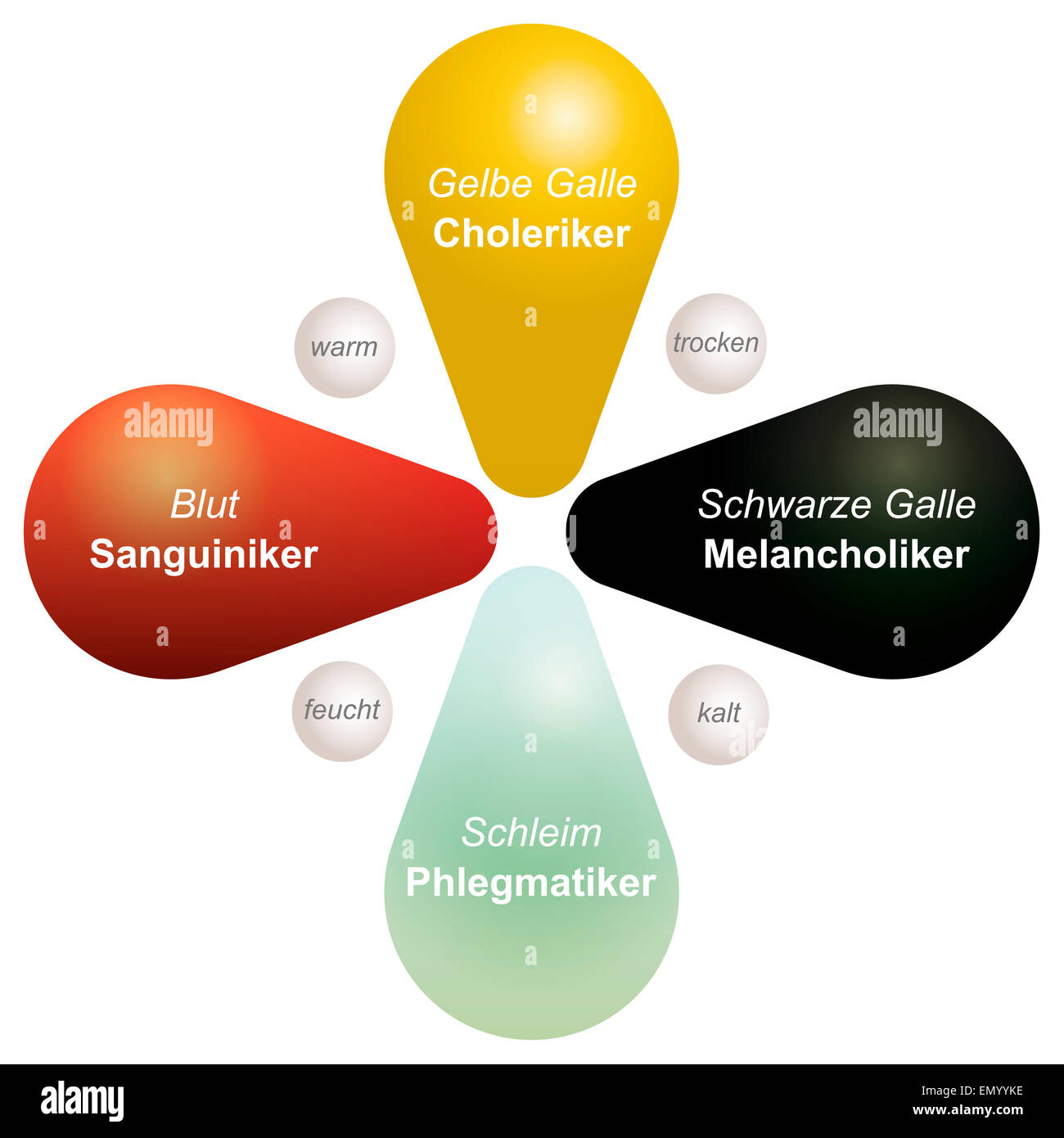 Quatre tempéraments sanguin, colérique, mélancolique et flegmatique avec leurs quatre humeurs. Marquage en allemand ! Banque D'Images
