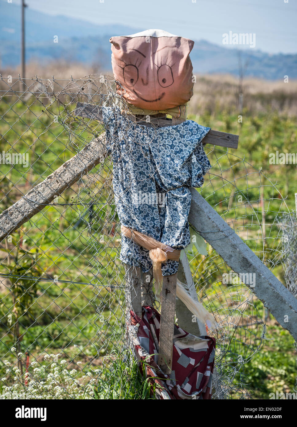 Un dordolec, une poupée de chiffon ou effigie accroché au coin d'un champ pour conjurer le mauvais œil, une chose commune dans le sud de l'Albanie. Banque D'Images
