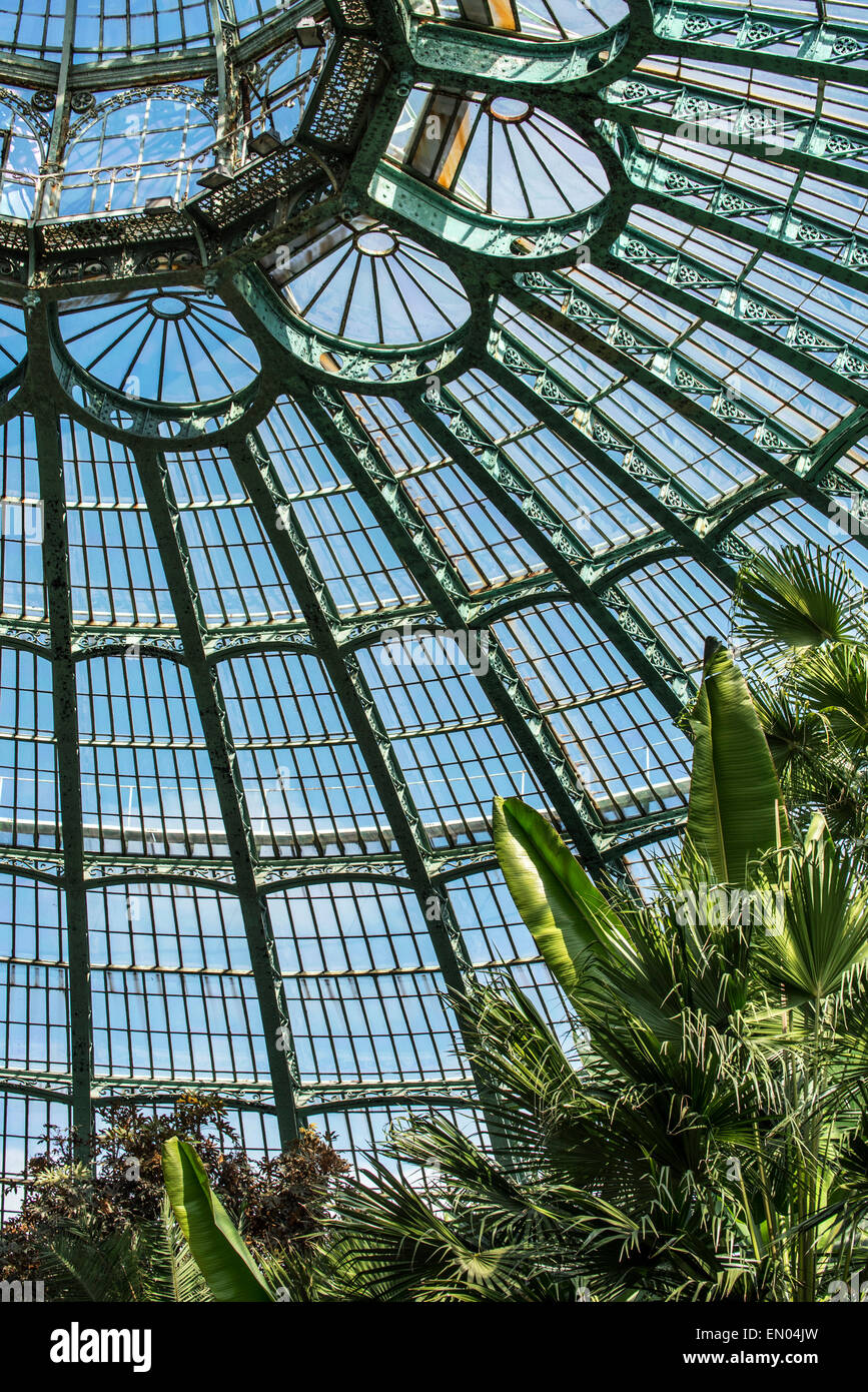 En fer forgé décorées de bois du jardin d'hiver au Serres Royales de Laeken en style Art Nouveau, Belgique Banque D'Images