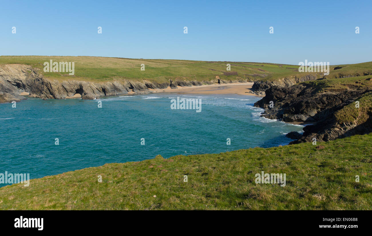 Cornish Porth cove Joke plage à côté de Crantock Bay près de Newquay Cornwall England UK au printemps aka Polly Joke Banque D'Images