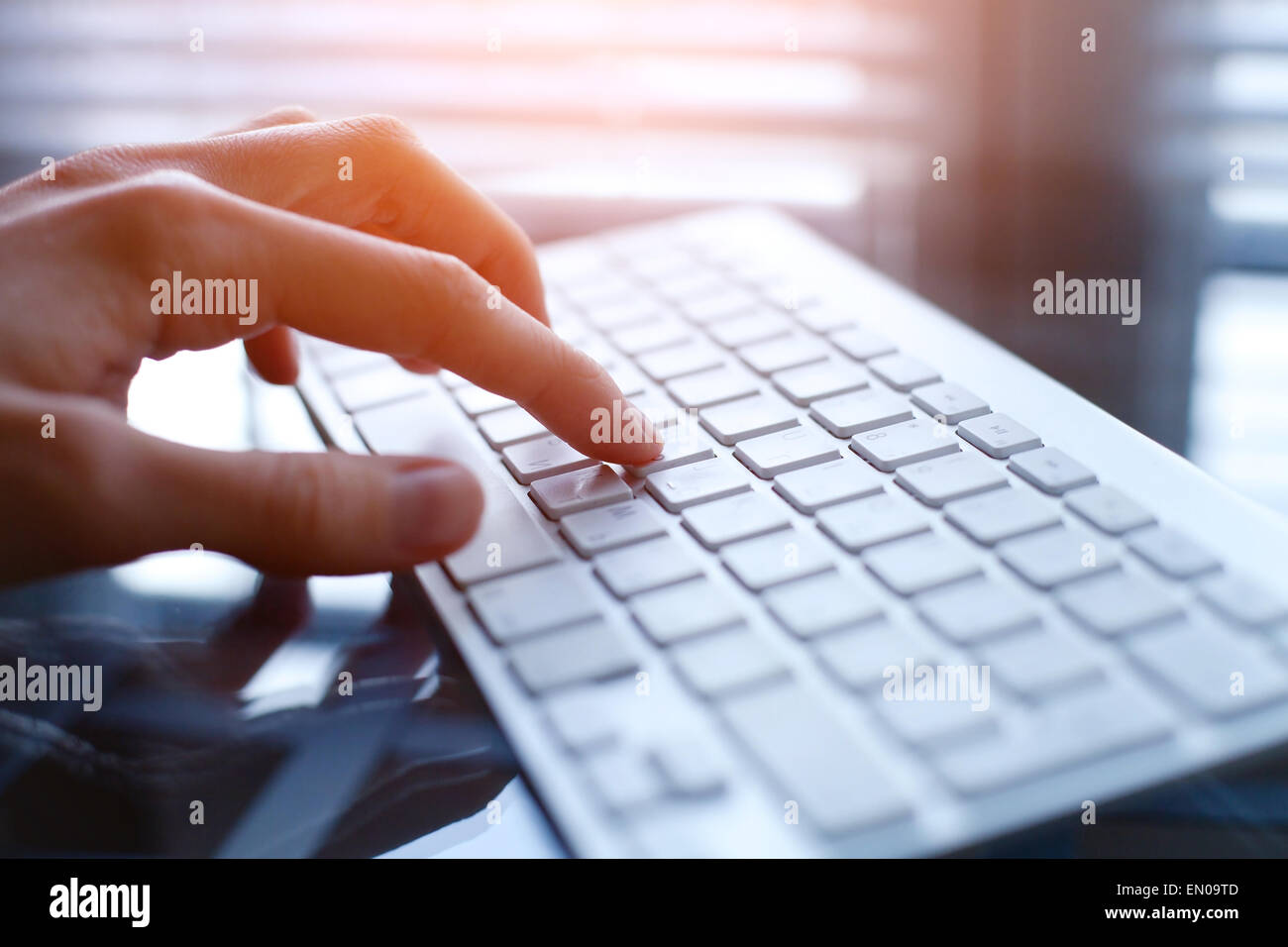 Le woman using computer in office Banque D'Images Le woman using computer in office Banque D'Images