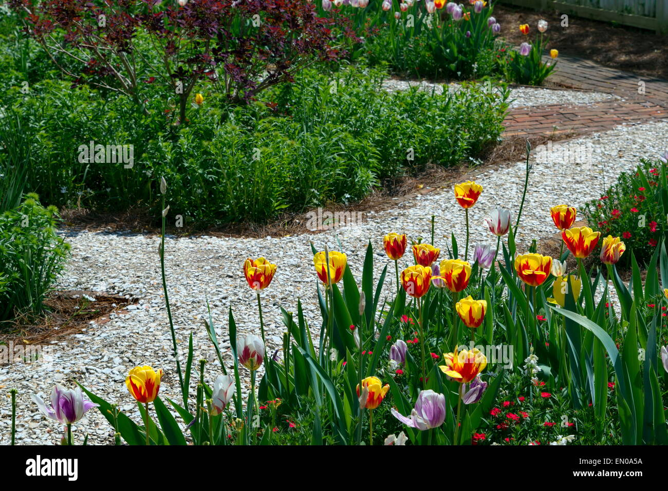 Jardin, Colonial Williamsburg Banque D'Images