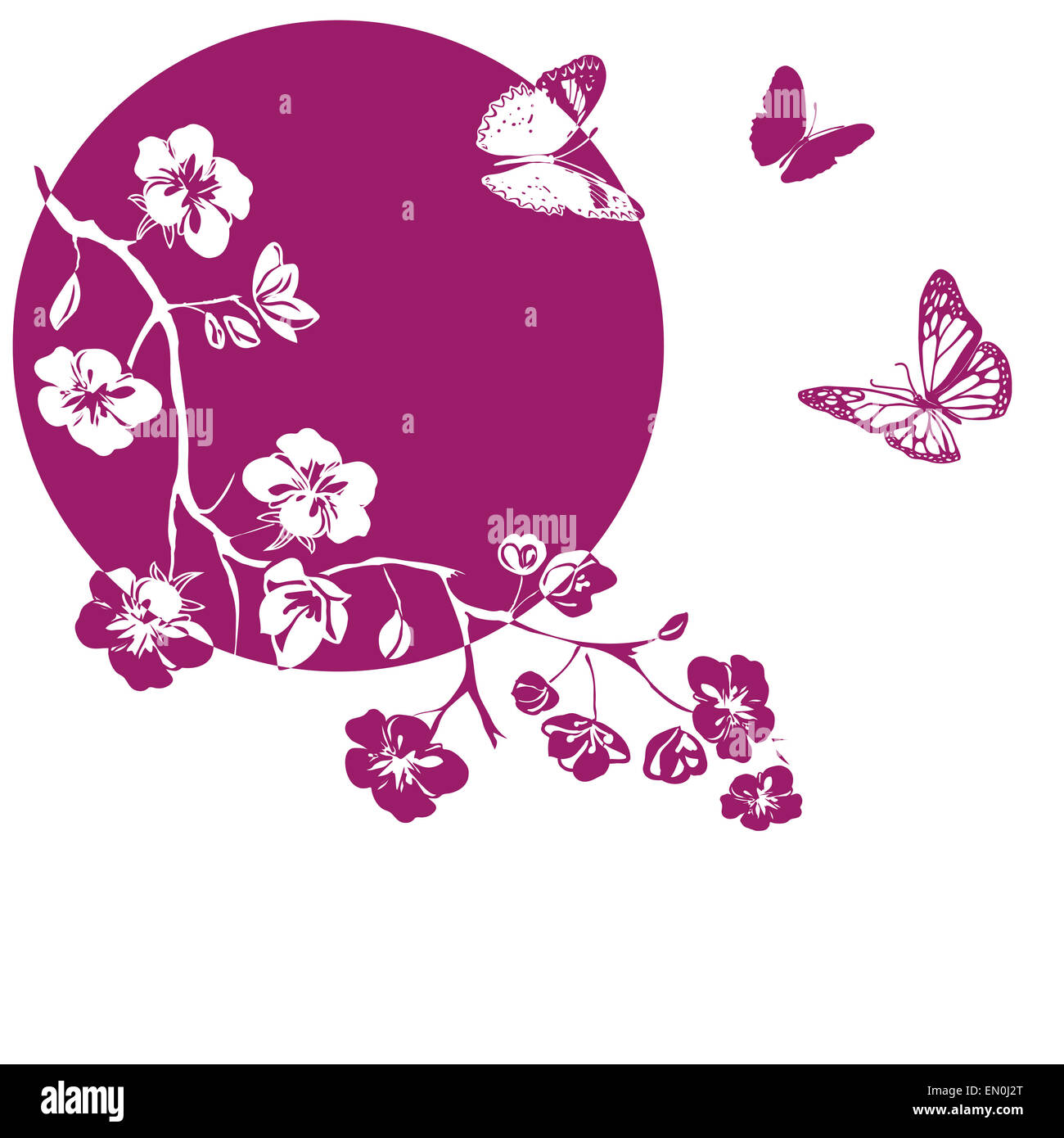 Les fleurs de cerisier rose et de la direction générale les papillons sont sur fond blanc. Vector illustration Banque D'Images