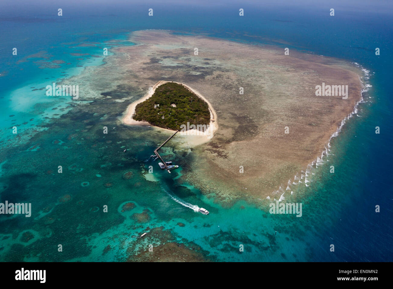 Vue aérienne de l'île Green, Grande Barrière de Corail, Queensland, Australie Banque D'Images