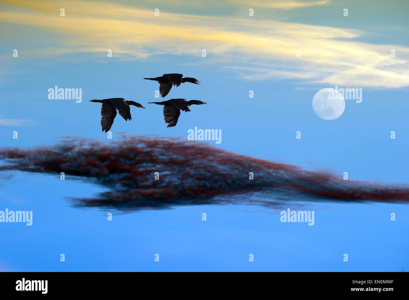 Les oiseaux volent ensemble vers la lointaine lune parmi les nuages colorés. Banque D'Images