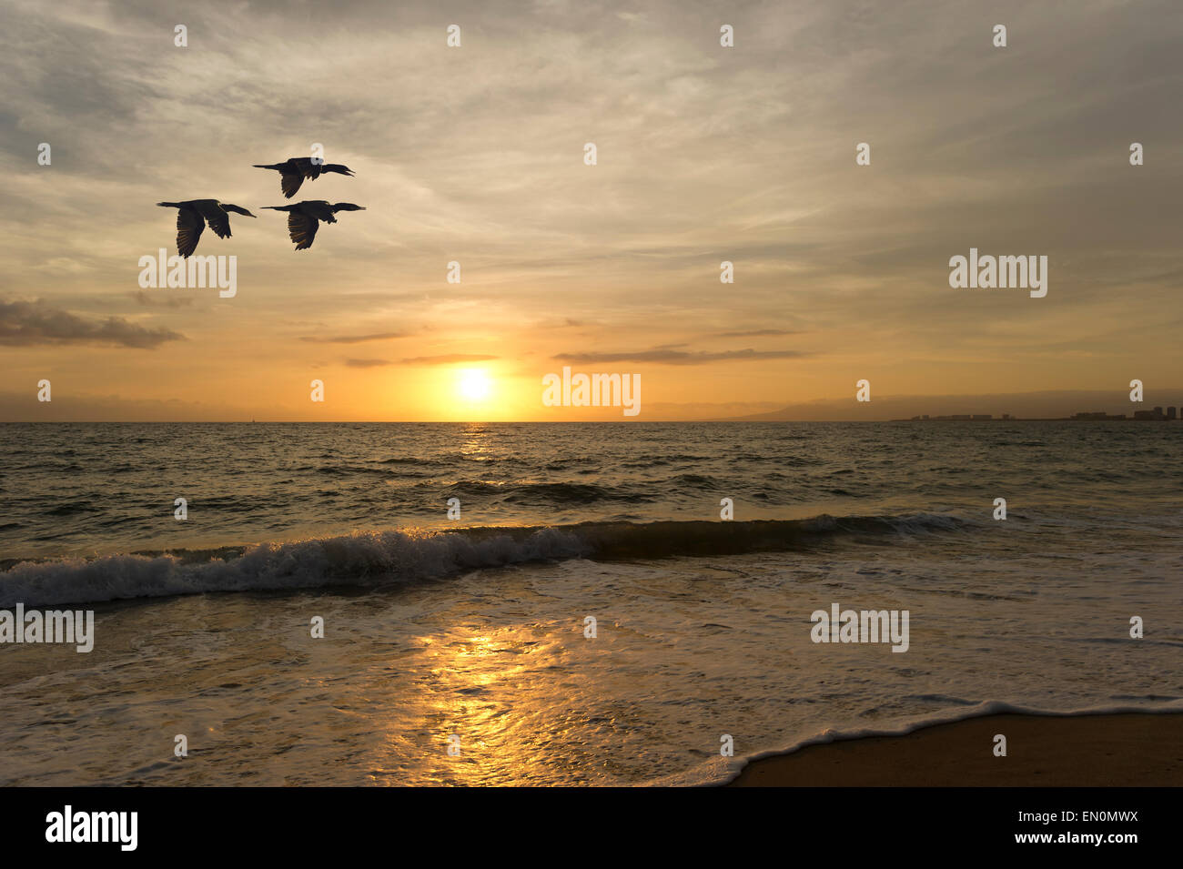 Un troupeau d'oiseaux volant au coucher du soleil sur l'océan des vagues. Banque D'Images