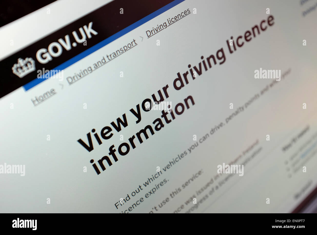 Une femme reviews son permis de conduire en ligne. Banque D'Images