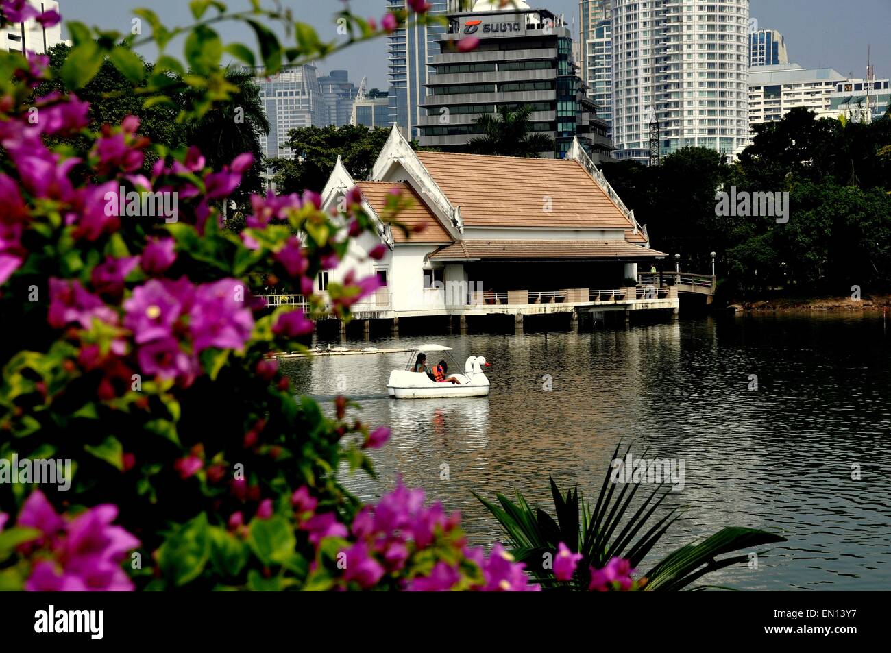 Bangkok, Thaïlande : Lavande fleurs de bougainvilliers un châssis Thai cafe sur le lac dans le Parc Lumphini avec tours de bureaux modernes Banque D'Images