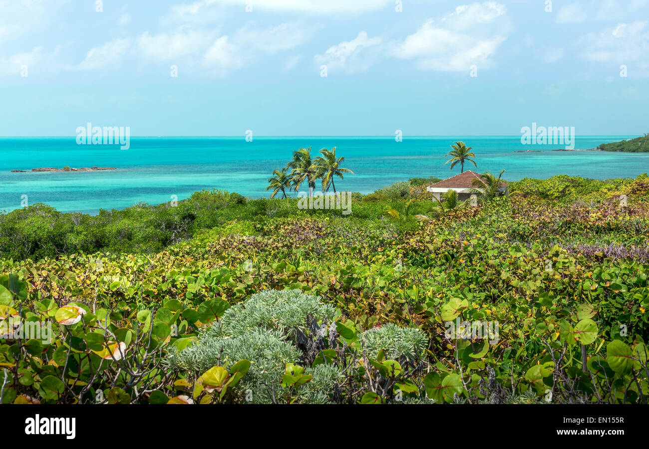 La mer turquoise des Caraïbes. Une vue de l'île Contoy, au Mexique. Banque D'Images