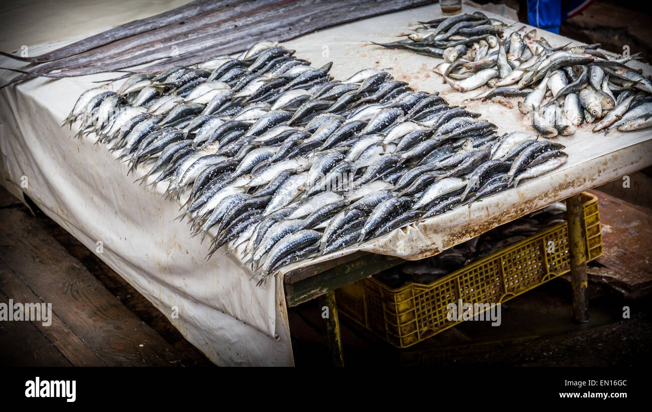 Poisson cru au marché marocain à Essaouira vieille ville Banque D'Images