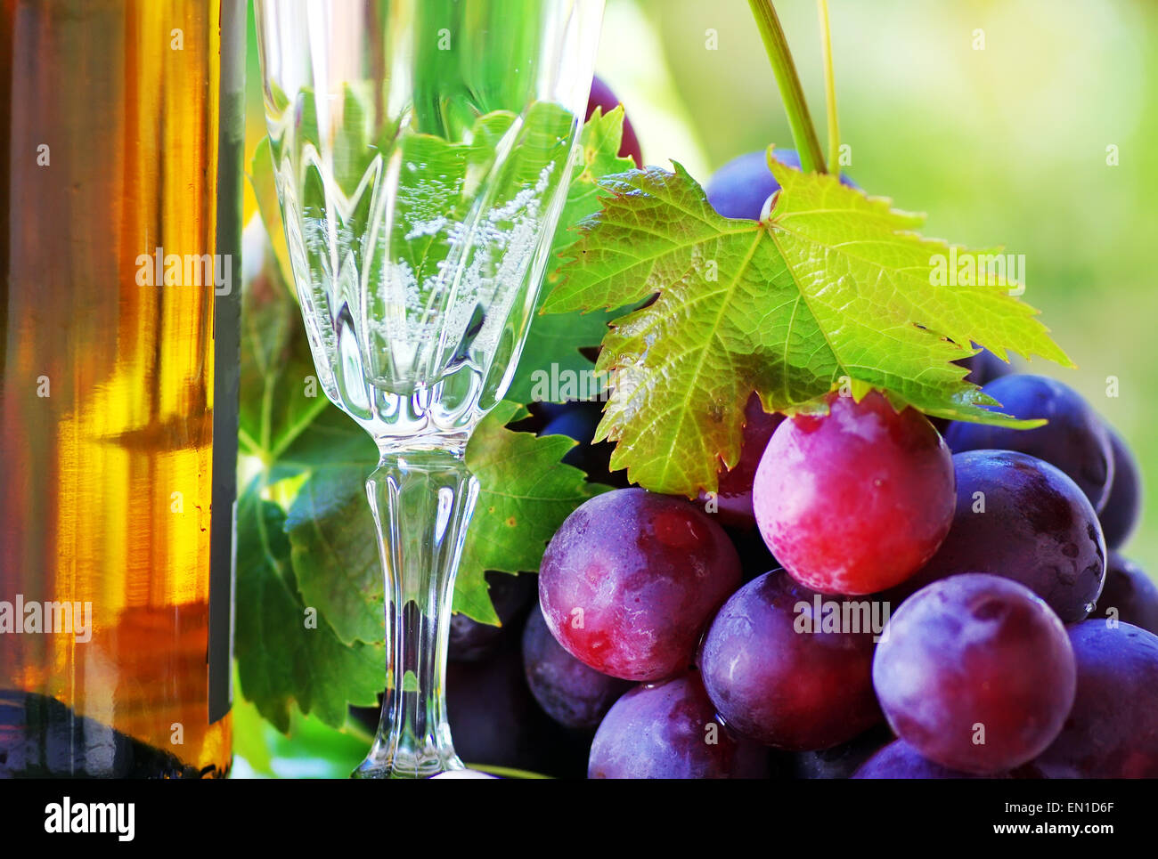 Bouteille et verre de vin avec des raisins Banque D'Images