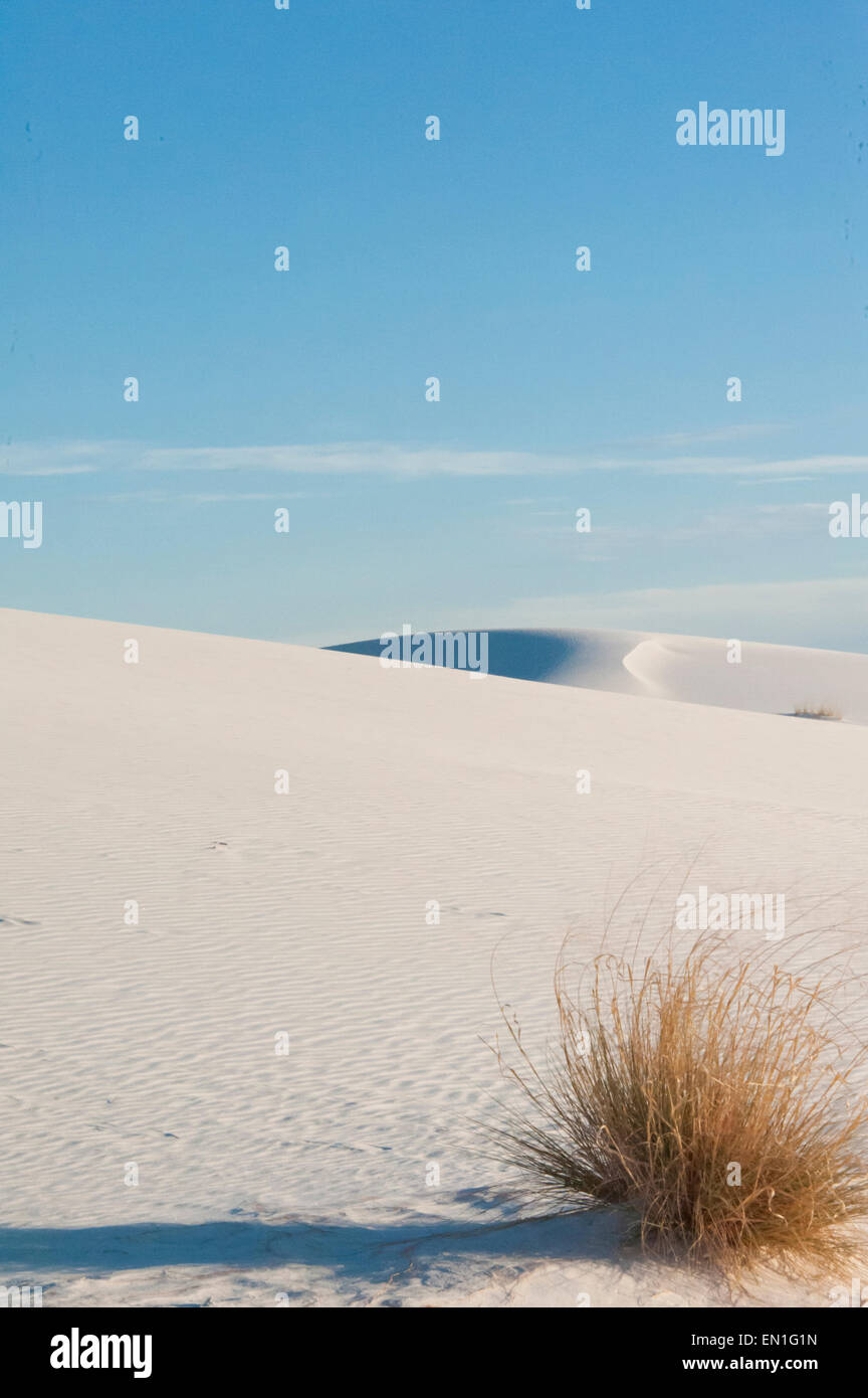 Dunes de sable blanc - White Sands National Monument Banque D'Images