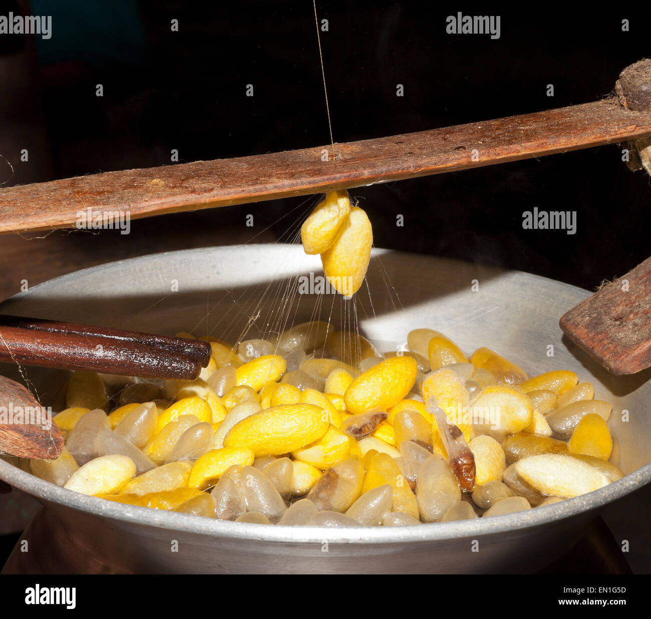 Les travailleurs de la soie, pot d'eau chaude contenant les cocons de soie, jaune sont thaïlandais, le blanc sont chinois, Chiang Mai, Thaïlande Banque D'Images