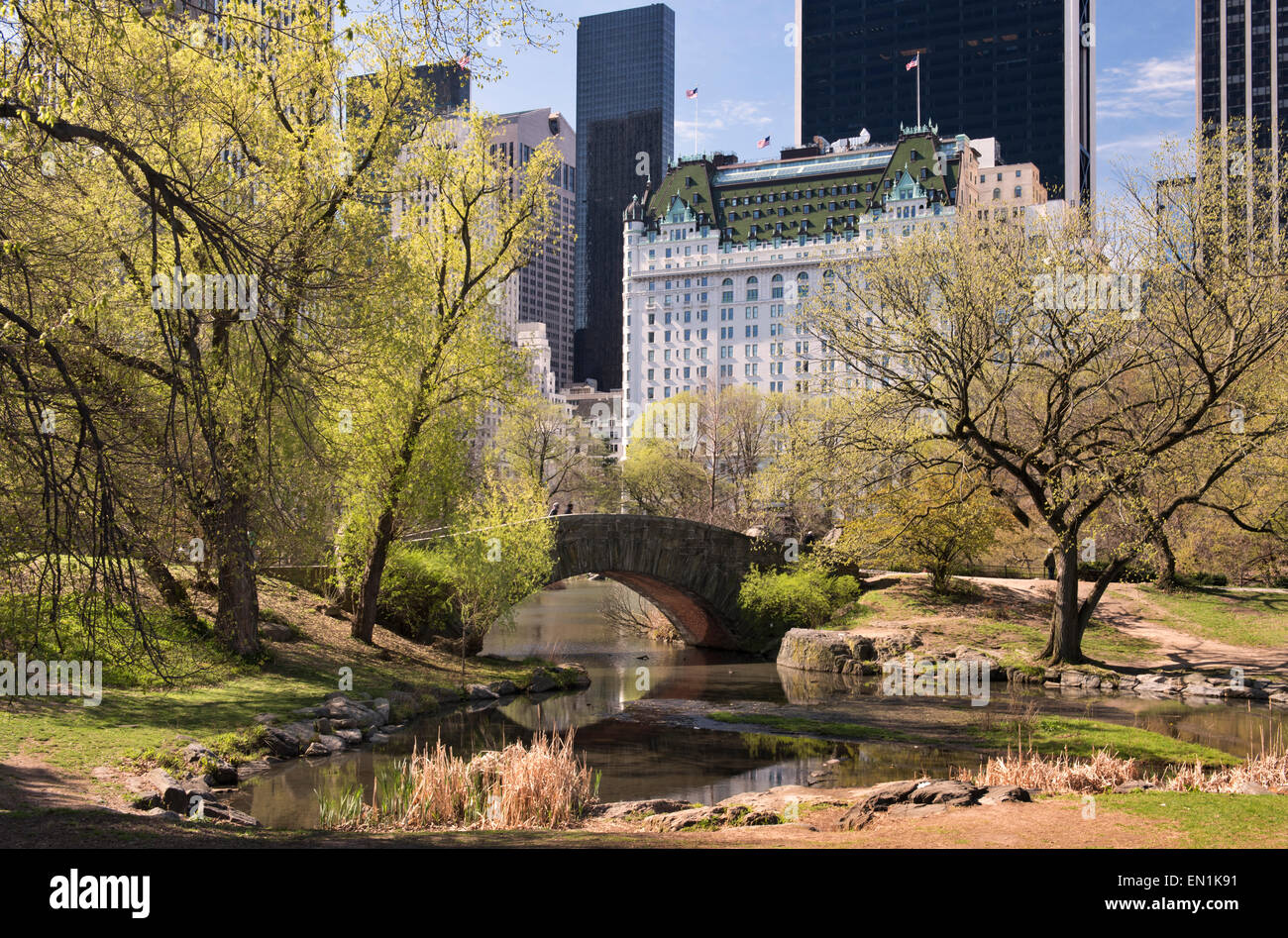 Central Park et l'hôtel Plaza au printemps Banque D'Images
