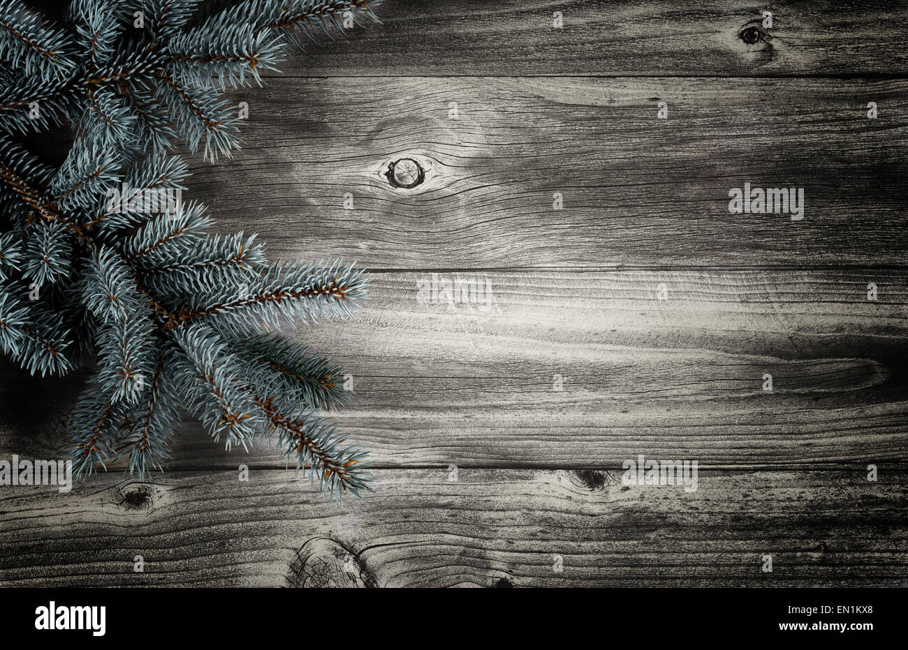 Vintage concept d'une branche d'arbre de Noël sur planches de bois rustique Banque D'Images