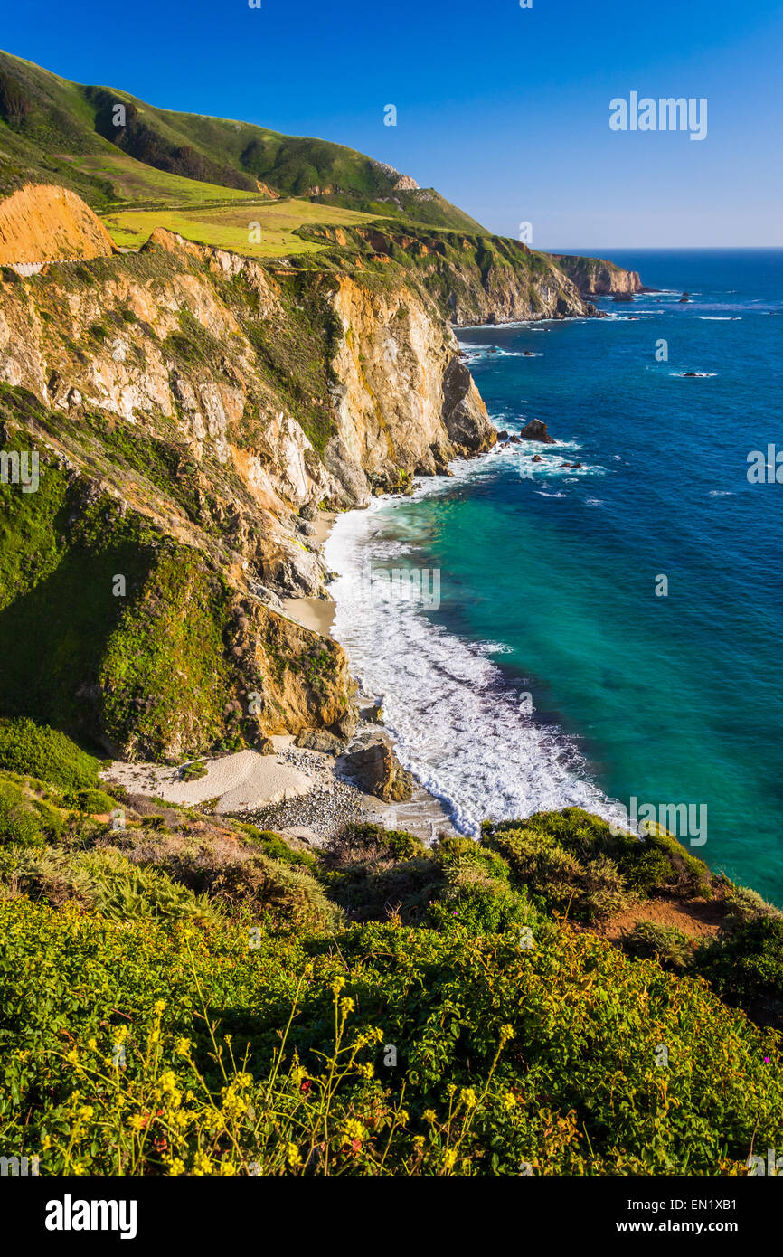 Vue sur la côte rocheuse du Pacifique, dans la région de Big Sur, en Californie. Banque D'Images