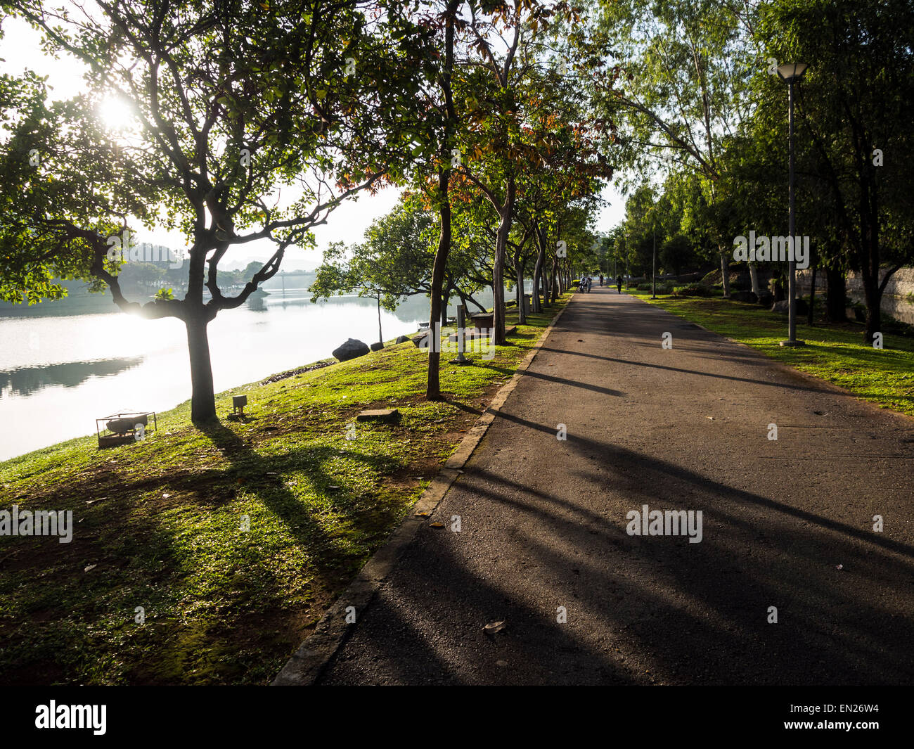 Une route dans un parc au bord du lac, avec le soleil du matin se reflète à travers les arbres, jetant de longues ombres Banque D'Images
