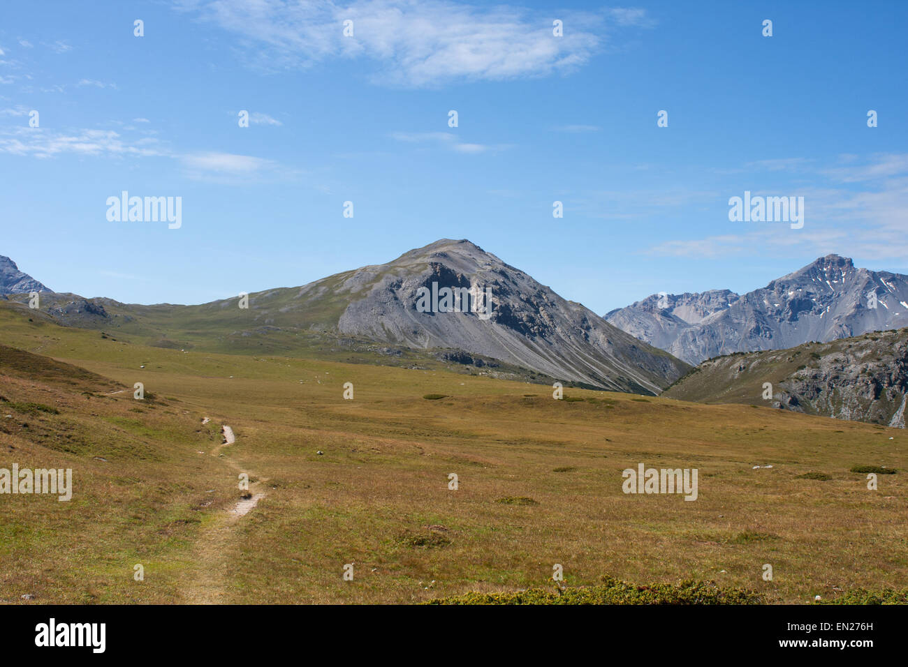 Cime del Serraglio sommet Suisse Alpes Val Mustair Engadin pâturage de montagne avec de l'herbe rouge et le chemin Banque D'Images
