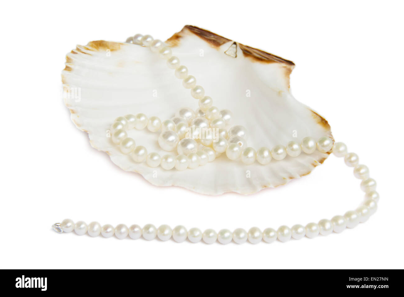 Collier de perles de coquillages de mer plus on white Banque D'Images