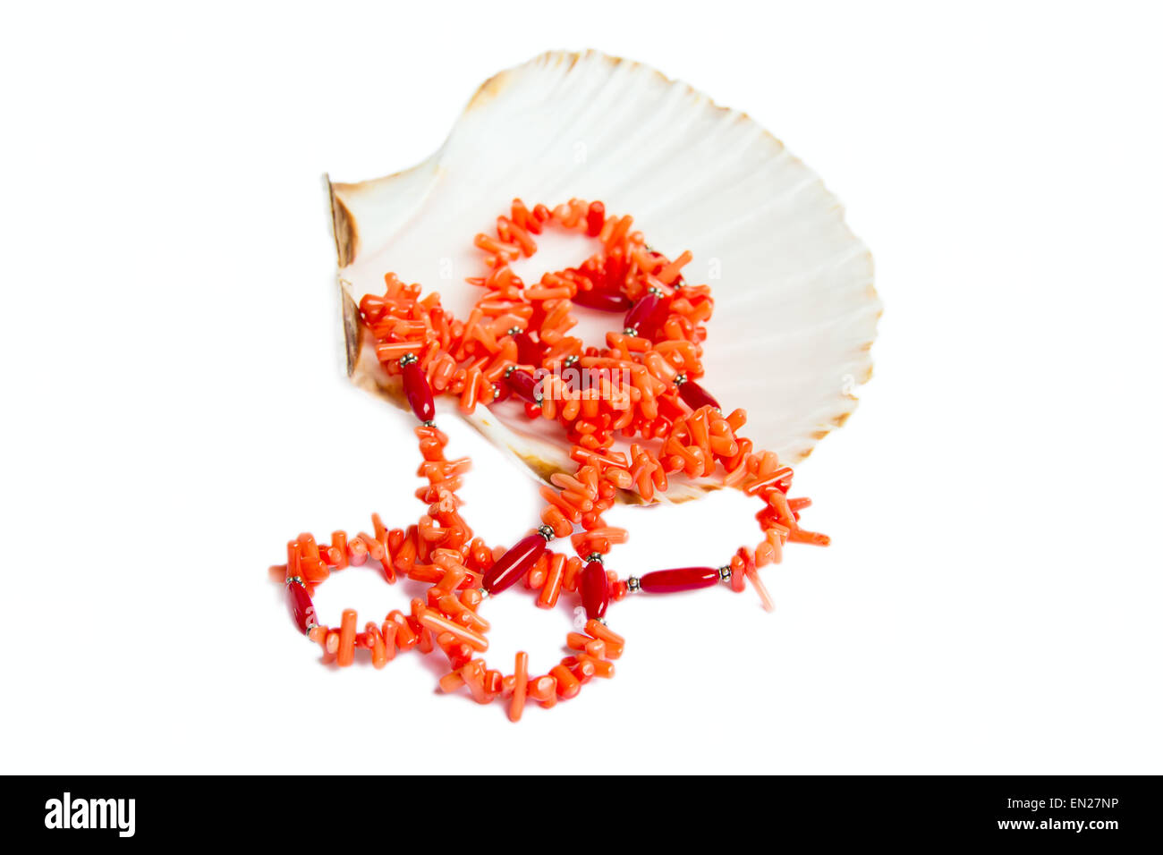 Collier de corail sur sea shell on white Banque D'Images