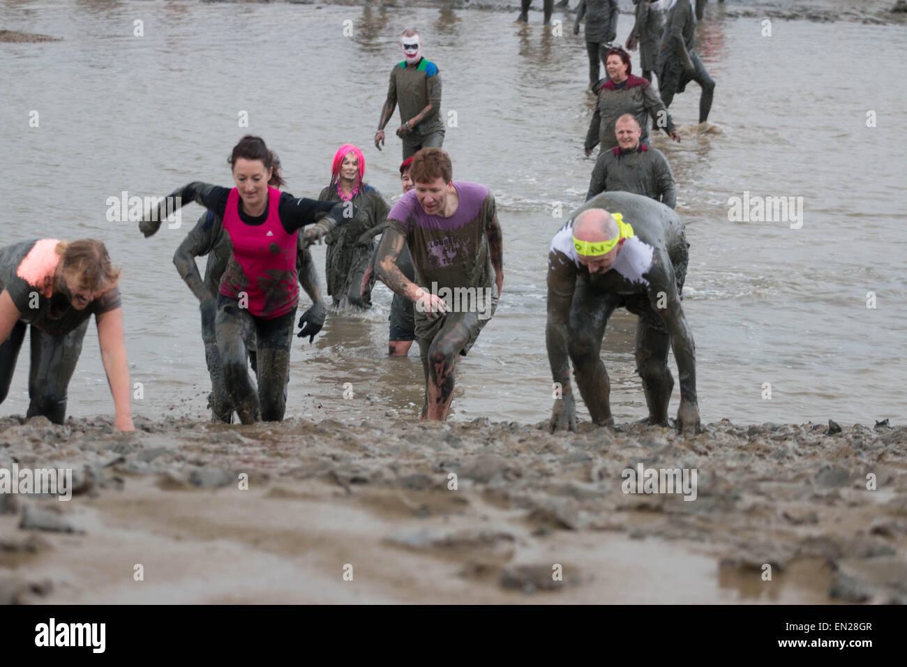 Maldon, Essex, 26 Avr, 2015. course pour la finale de la course annuelle de Maldon mud Crédit : Darren Attersley/Alamy Live News Banque D'Images