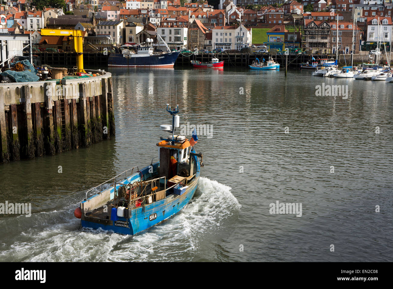 Royaume-uni, Angleterre, dans le Yorkshire, Scarborough, bateau de pêche de retour au vieux port, après avoir mis des casiers à homard Banque D'Images