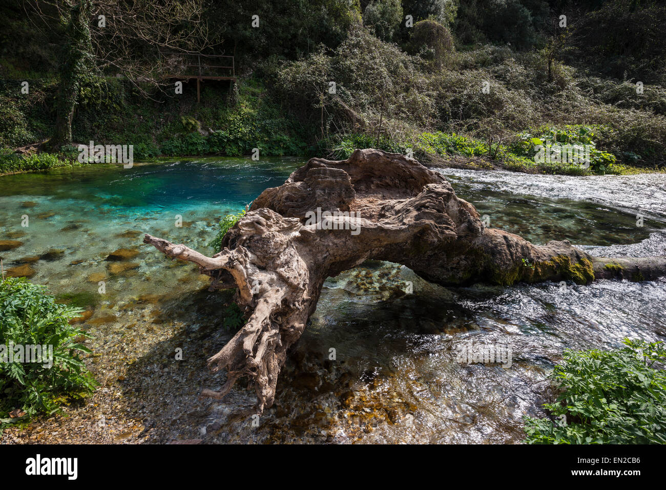 L'Œil bleu printemps sortant d'une grotte sous-marine dans une rivière près de Delvine dans le sud de l'Albanie. Banque D'Images