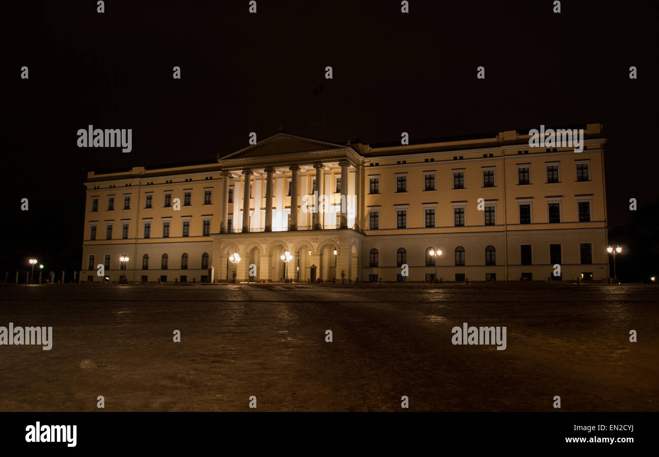 Palais royal d'Oslo la nuit avec le sol couvert de glace Banque D'Images