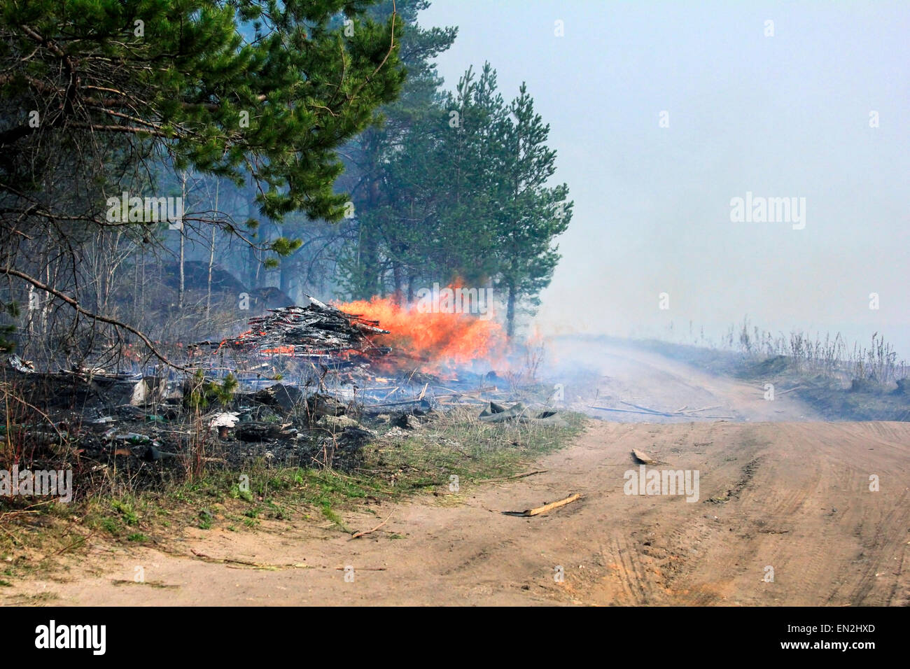 L'image d'un incendie dans une forêt Banque D'Images