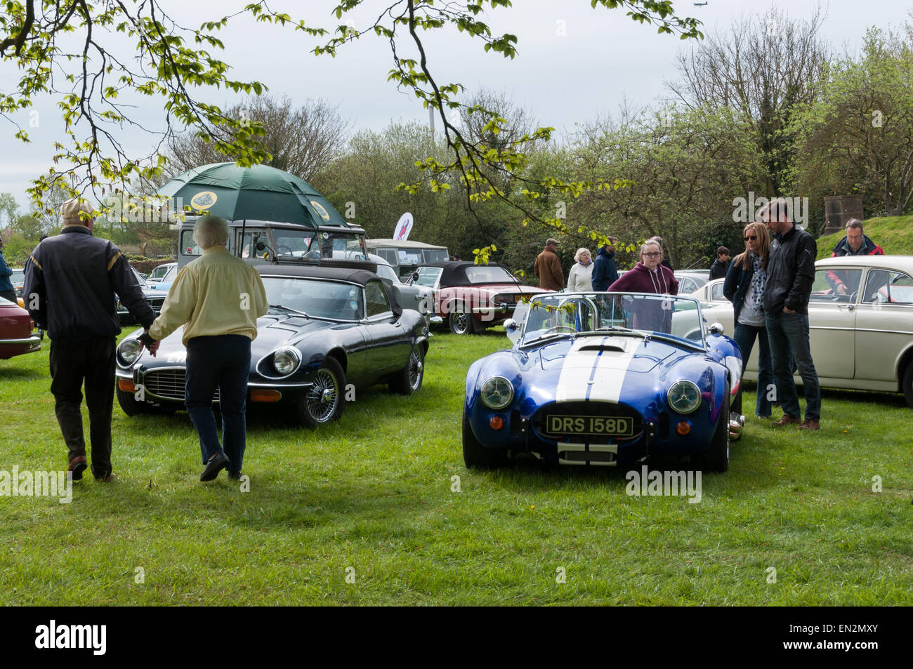 Shelby Cobra voiture de sport à la 5e brunch du dimanche Scramble à Bicester Oxfordshire, Angleterre, du patrimoine Banque D'Images