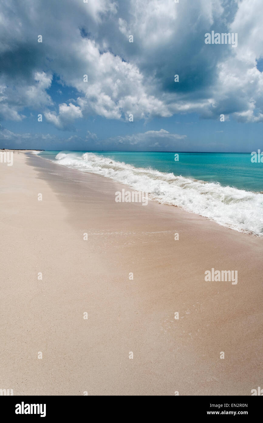 Plage de sable rose, Barbuda, Leeward Islands, Caribbean Banque D'Images