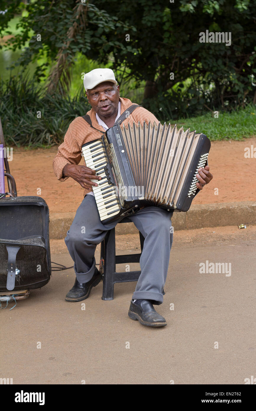 SAO PAULO, BRÉSIL - février 01, 2015 : Un musicien de rue chantant et jouant de l'un à l'accordéon ancien P Ibirapuera Banque D'Images