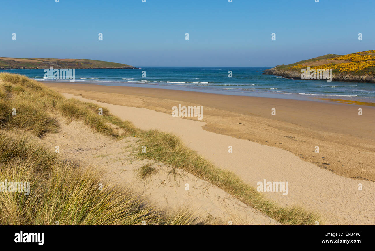 Plage de Crantock North Cornwall England UK près de Newquay sur South West Coast Path au printemps avec ciel bleu et la mer Banque D'Images