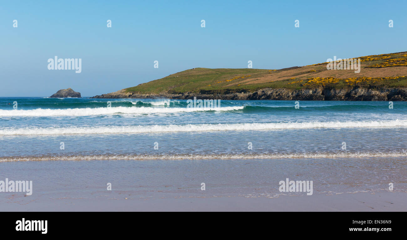 Des vagues sur la plage de Crantock North Cornwall England UK près de Newquay au printemps avec ciel bleu et la mer jaune et de l'ajonc Banque D'Images